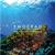 EMOCEAN - QUADRO KAPATEX 50X 50 SOGGETTO 9