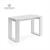 LIVING TABLE MATT WHITE V00