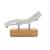 NAT EVO PLUS MASSAGE BED LIGHT WALNUT V23