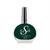 KYSILK NAIL POLISH